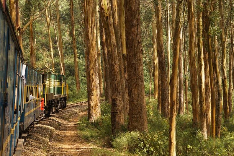 Mettupalayam in India