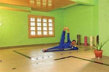 Fitness and Wellness