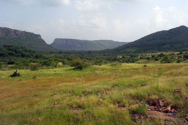 Glimpse of the park of the Nameri National Park in India