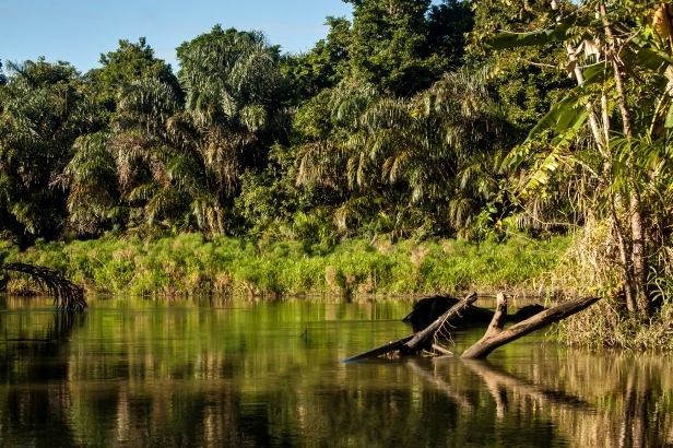Lake of the Nameri National Park in India