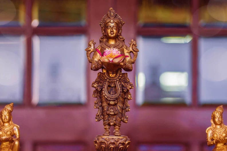 Detail of the decoration of SVATMA in Thanjavur in India