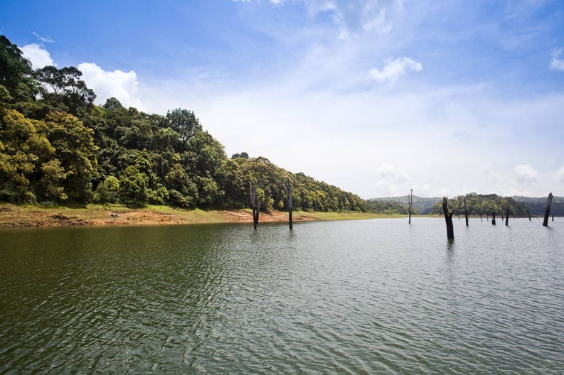 Thekkady città dell'India
