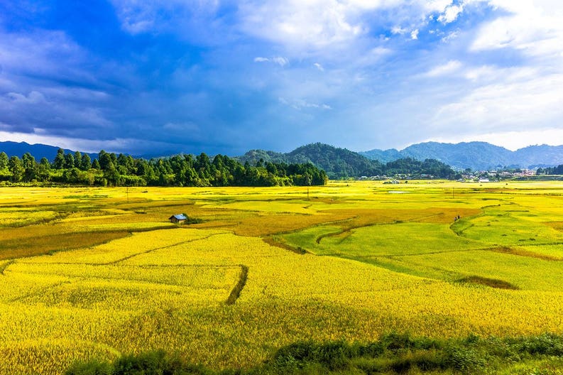 Ziro in India
