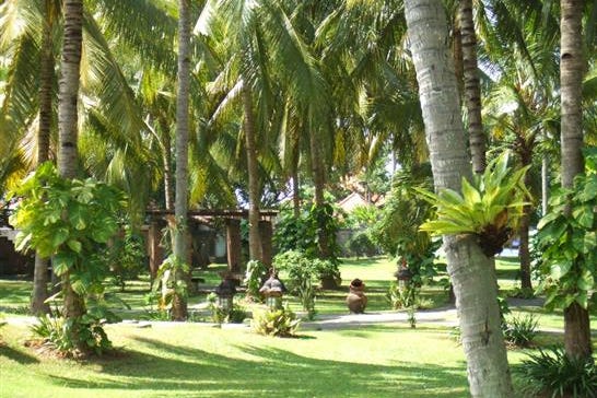 Tropical garden of the Ketapang Indah in Banyuwangi in Indonesia