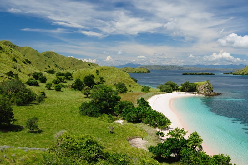 komodo-national-park-indonesia-82520242