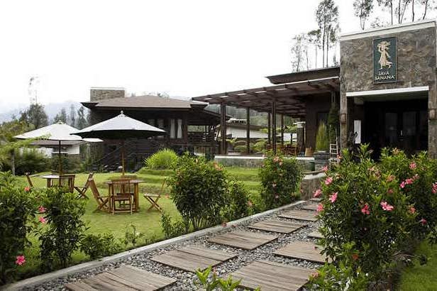 Garden of the Java Banana Hotel on the Mount Bromo in Indonesia