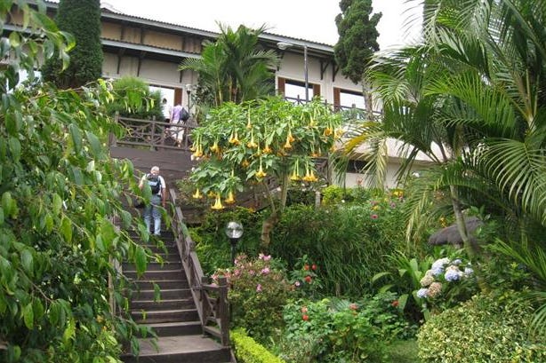Garden of the Bromo Cottage in Indonesia