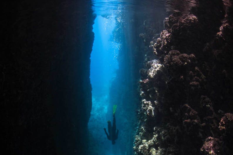 Solomon Islands coral reef