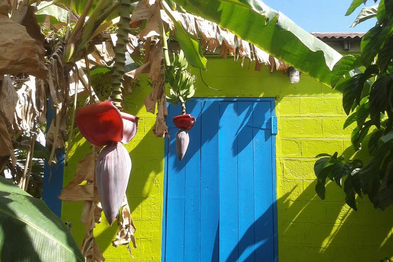 Caribbean colors Caribbean colors