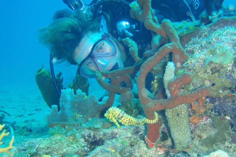 Scuba diving in the BVI BVI scuba diving