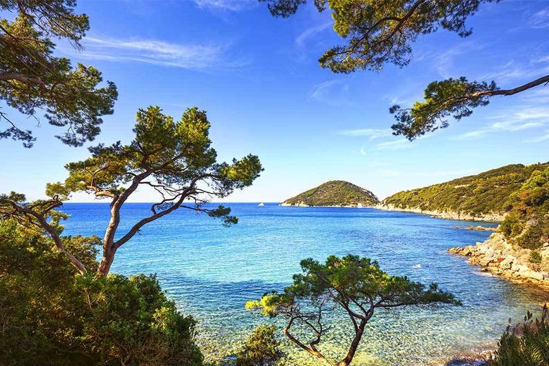 italy-elba-island-sea-portoferraio-viticcio-beach-coast-and-mediterranean-pine-trees