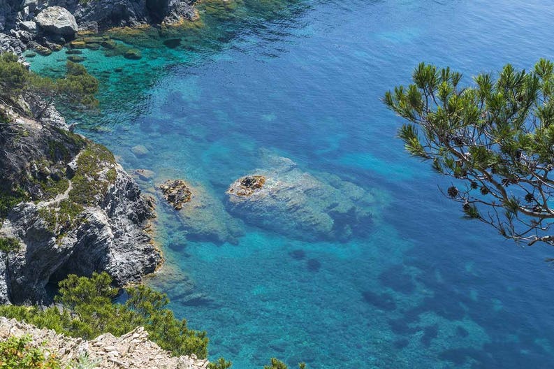 Porquerolles island in France France Porquerolles island