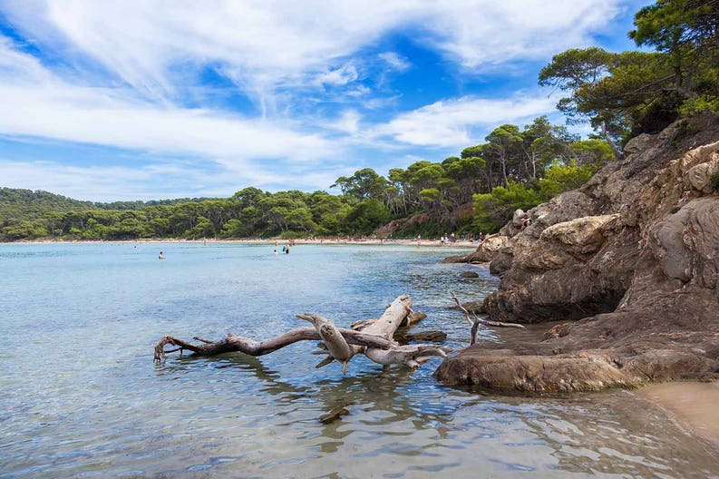 Porquerolles island in France France Porquerolles island