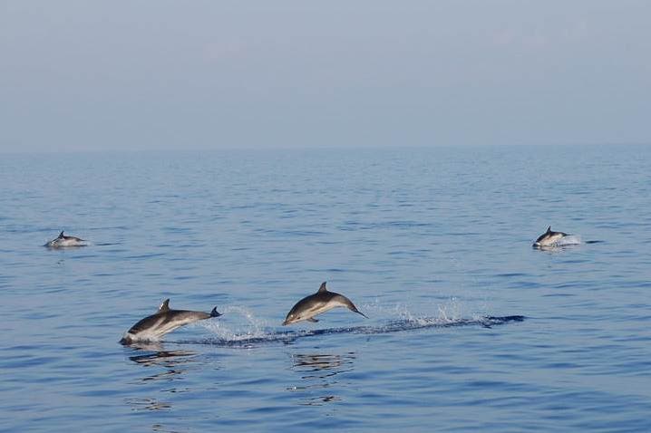 Sailing the Aeolian islands in Italy Italy Aeolian islands sailing