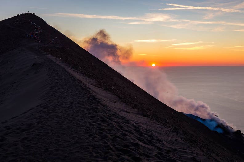 ec91edca-4a23-4718-a42c-24996c80937d