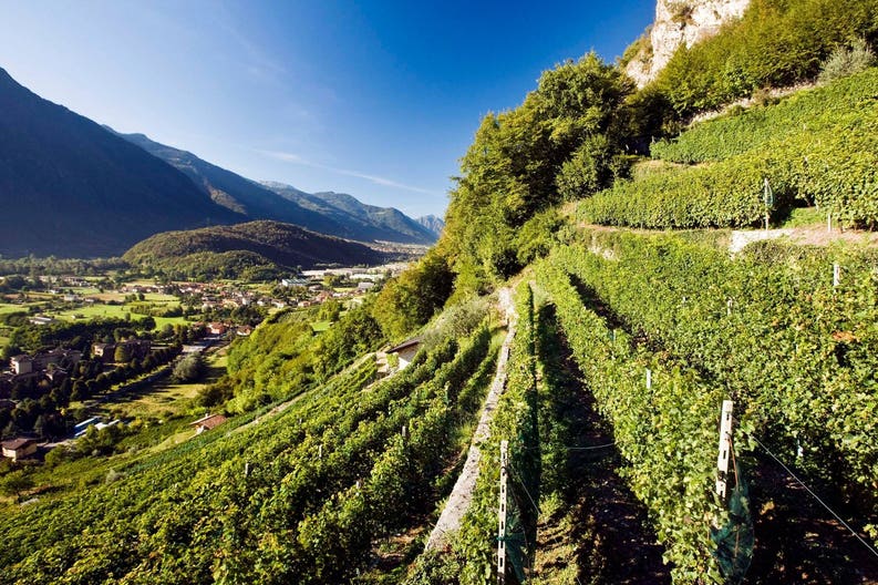 Vigneti in Valtellina