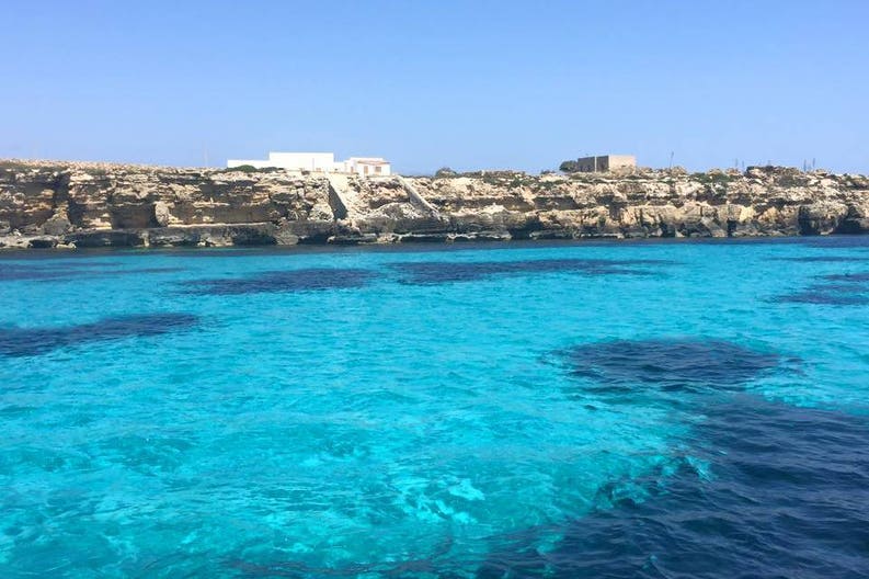 11705131-10152975099762135-5570267994022972464-n