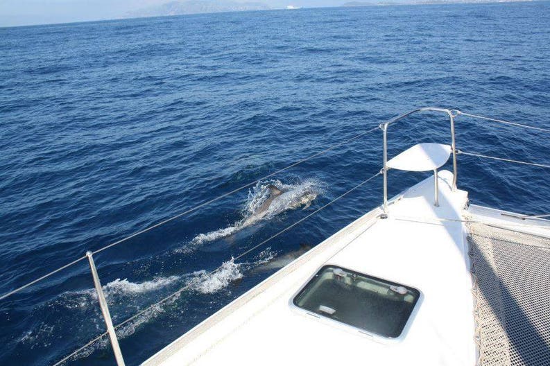 charter catamarano egadi