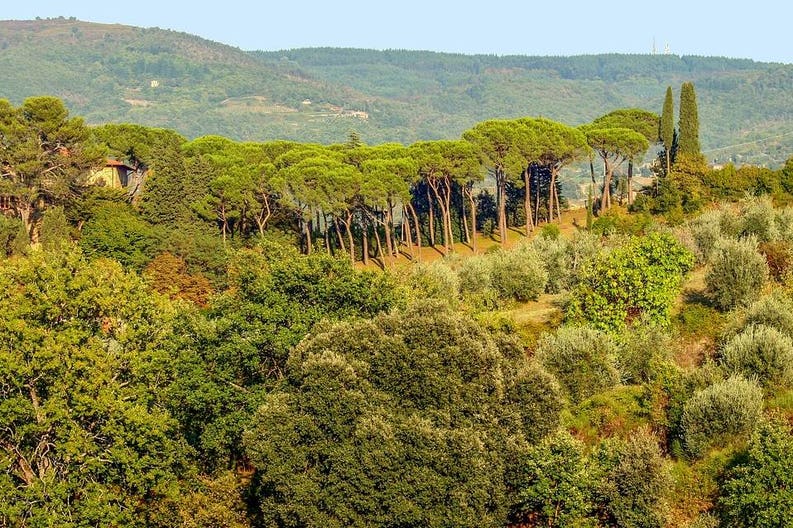 Italy Chianti