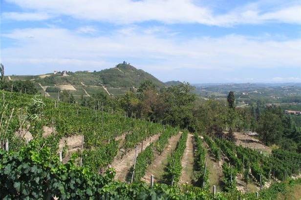 la-strada-dei-vini-della-valtellina