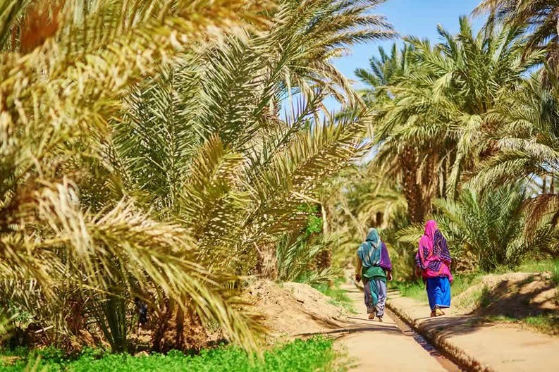 morocco-two-berber-women-walking-in-oasis-of-merzouga-village-in-sahara-desert