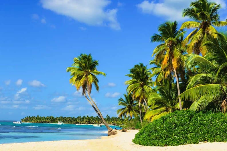 Caraibi Martinique spiaggia Spiaggia di sabbia bianca e palme a Martinique nei Caraibi