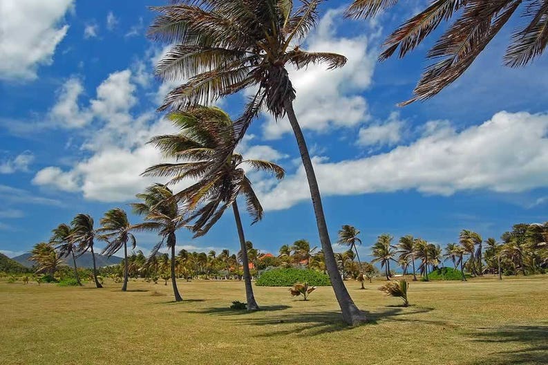 St. Vincent and Grenadines St. Vincent and Grenadines