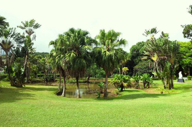 mauritius-botanical-garden