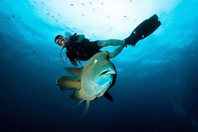 Micronesia sub