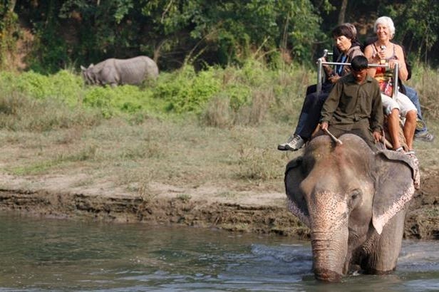 Safari sugli elefanti nel Chitwan National Park in Nepal