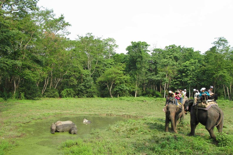 Safari con gli elefanti nel Chitwan National Park in Nepal
