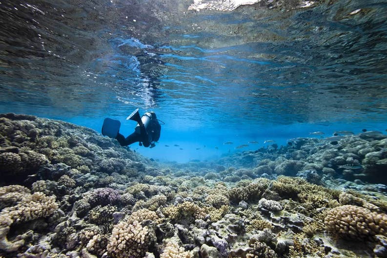 Nuova Caledonia snorkeling Snorkeling in Nuova Caledonia