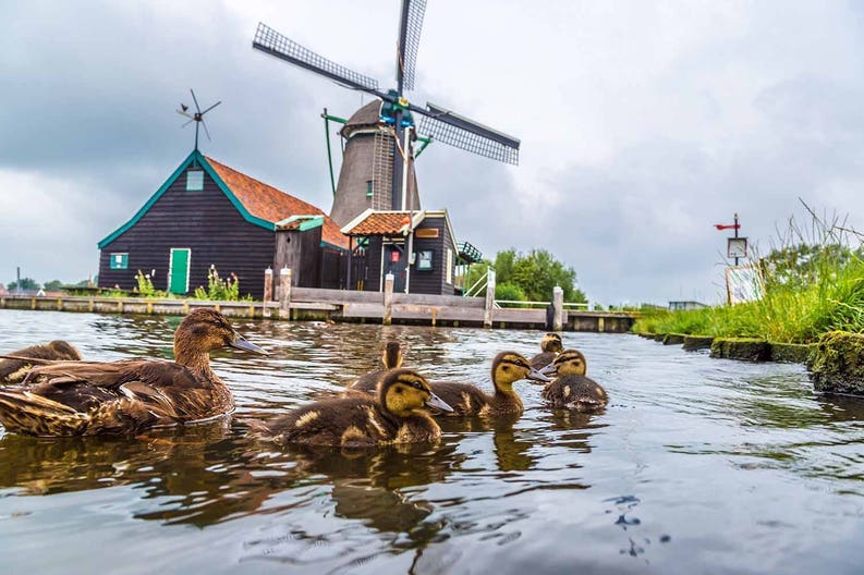 netherlands-zaanse-schan-windmill