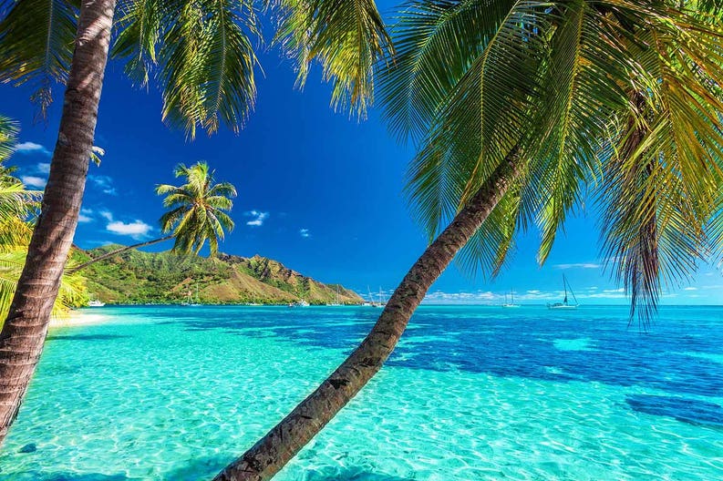Polinesia francese spiaggia da sogno