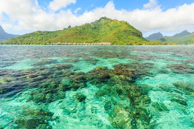 Polinesia francese spiaggia da sogno