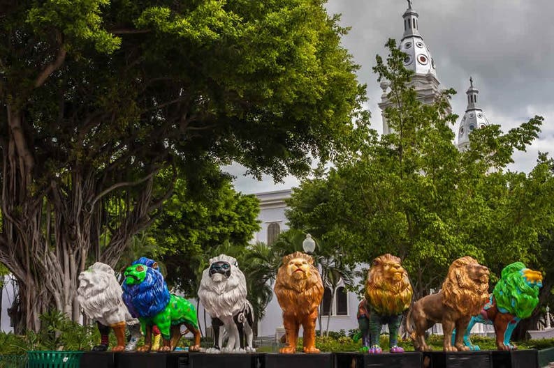 Portorico Ponce leoni colorati