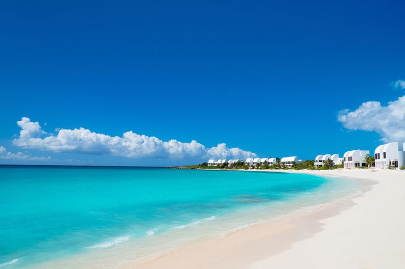 Anguilla isola