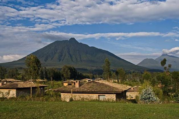 mountain-gorilla-view-lodge
