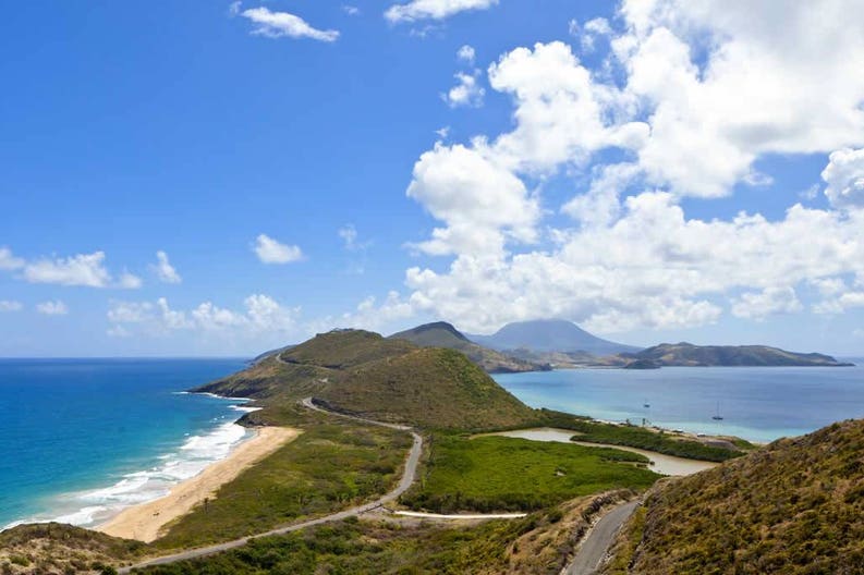 can a tosa live in st kitts and nevis