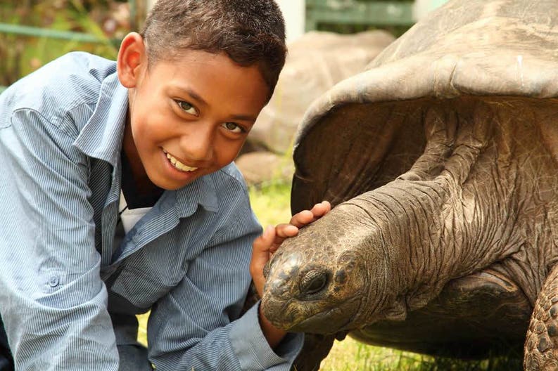 Saint Helena boy and turtle