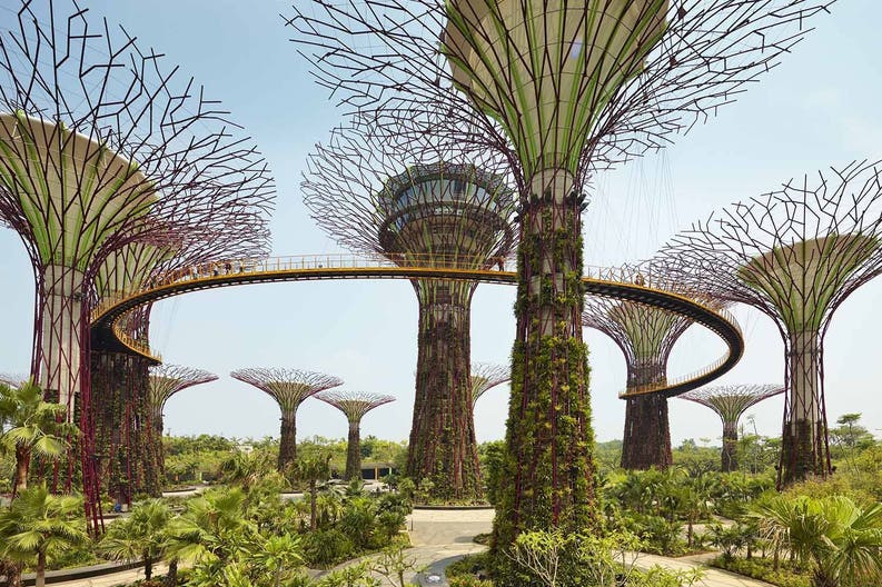 singapore-gardens-by-the-bay