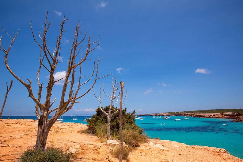 Spain Formentera Cala Saona Cala Saona in Formentera in Spain