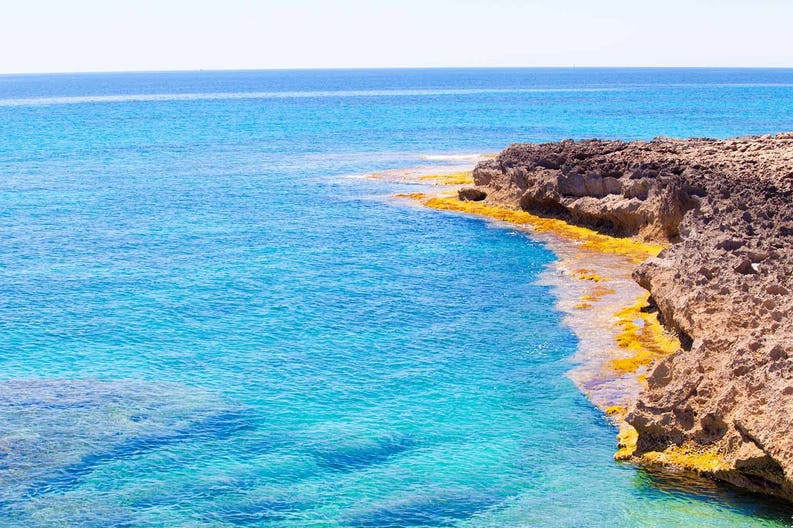 Mare delle Baleari Mare delle Baleari, Spagna