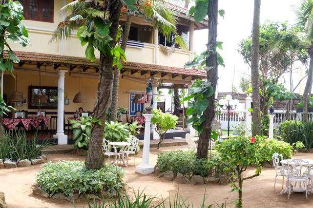 ice-bear-new-pics-15