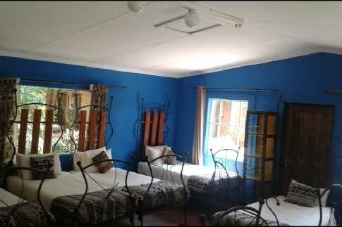 A room in Gecko Backpackers