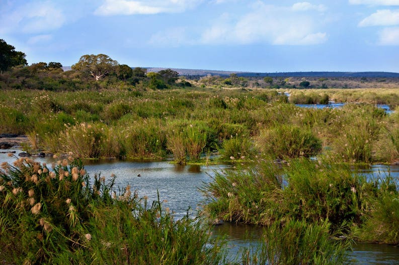 south-africa-kruger-national-park-landscape-