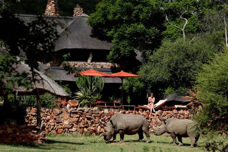 Ant's Nest a Vaalwater in Sudafrica 