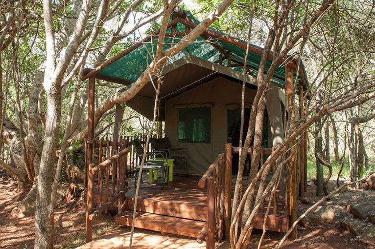 molope-featured-768x617