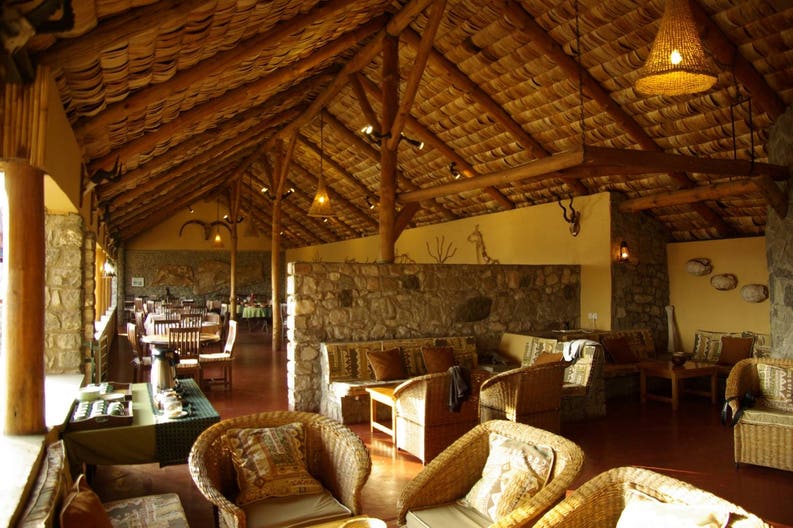 ndutu-safari-lodge-wild-view