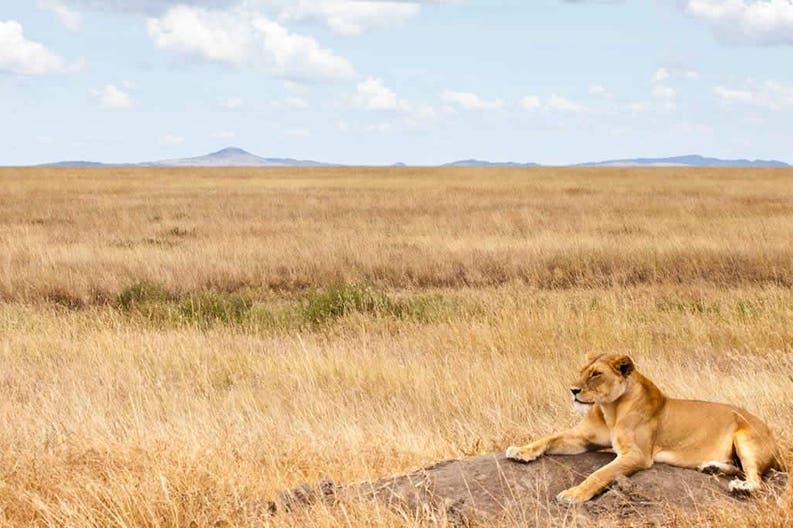 tanzania-national-park